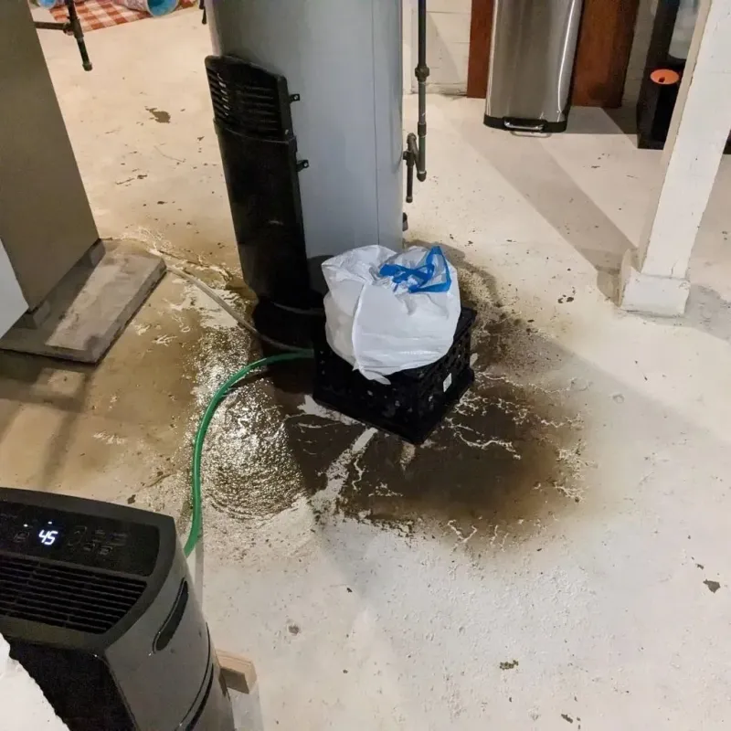 Sewage Backup Cleanup Service in Athens County, OH